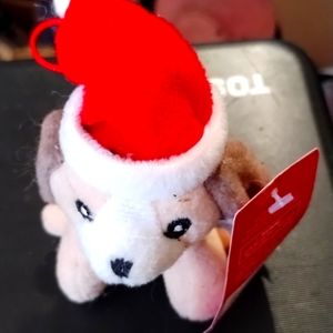 Adorable little Santa puppy